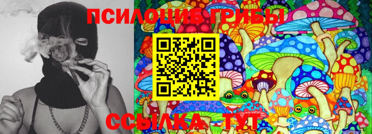 Псилоцибиновые грибы Psilocybe  Вход с VPN  Урус-Мартан  Псилоцибиновые грибы Psilocybe 